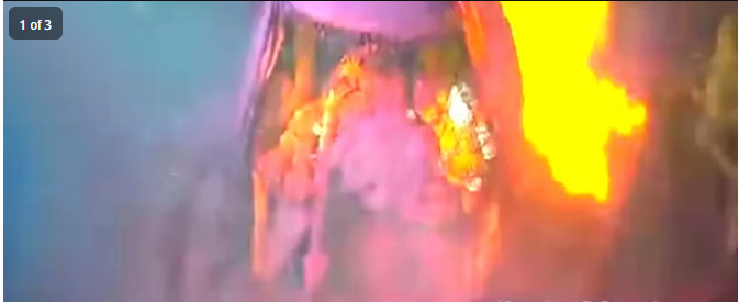 d1098