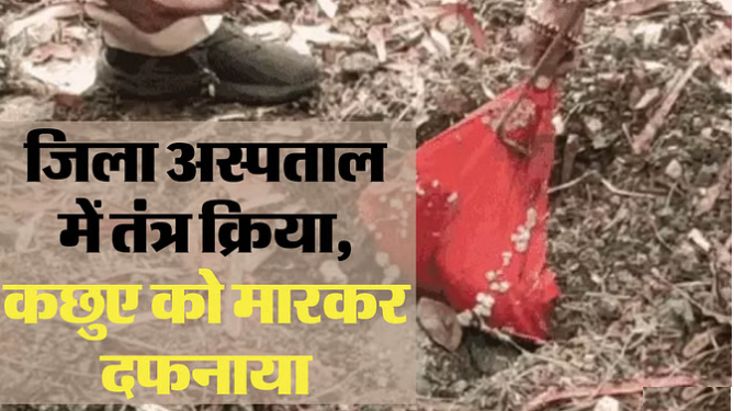 bundelibaan news 568 date 8-6-2024