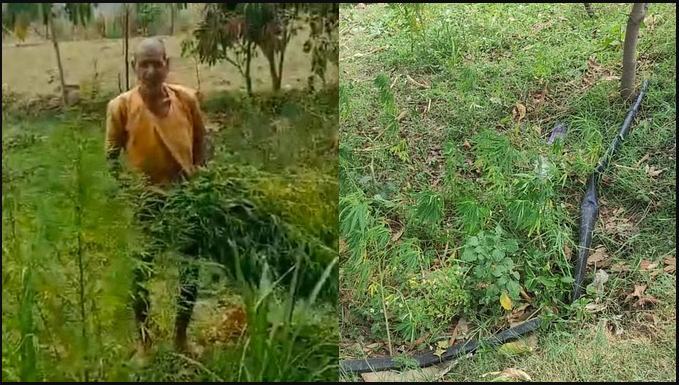 bundelibaan news 734 date 17-6-2024