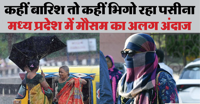 bundelibaan news 753 date 18-6-2024