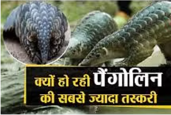 bundelibaan news 825 date 22-6-2024