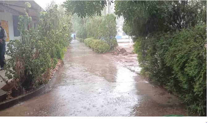 bundelibaan news 953 date 28-6-2024
