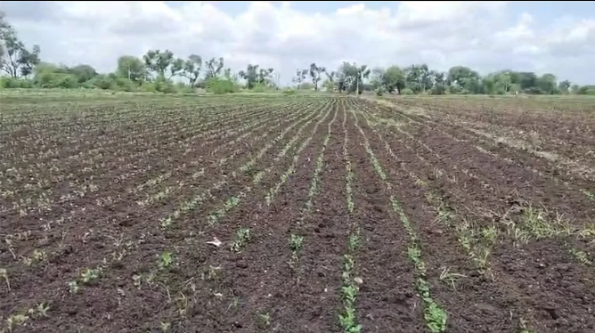bundelibaan news 1026 date 3-7-2024