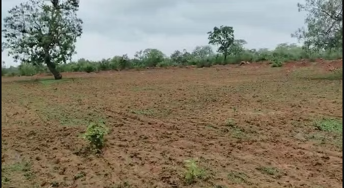 bundelibaan news 1062 date 5-7-2024