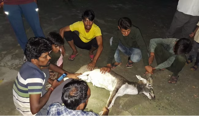 bundelibaan news 1128 date 9-7-2024