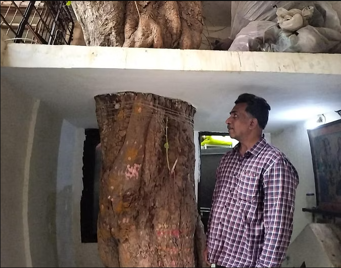 bundelibaan news 1156 date 11-7-2024