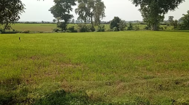 bundelibaan news 1280 date 22-7-2024