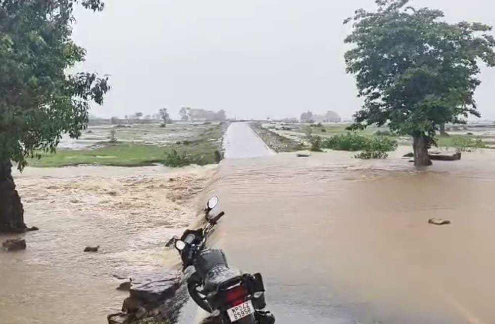 bundelibaan news 1298 date 24-7-2024