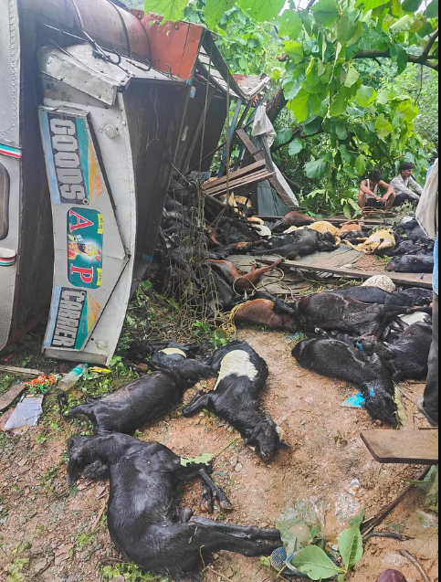 bundelibaan news 1331 date 27-7-2024