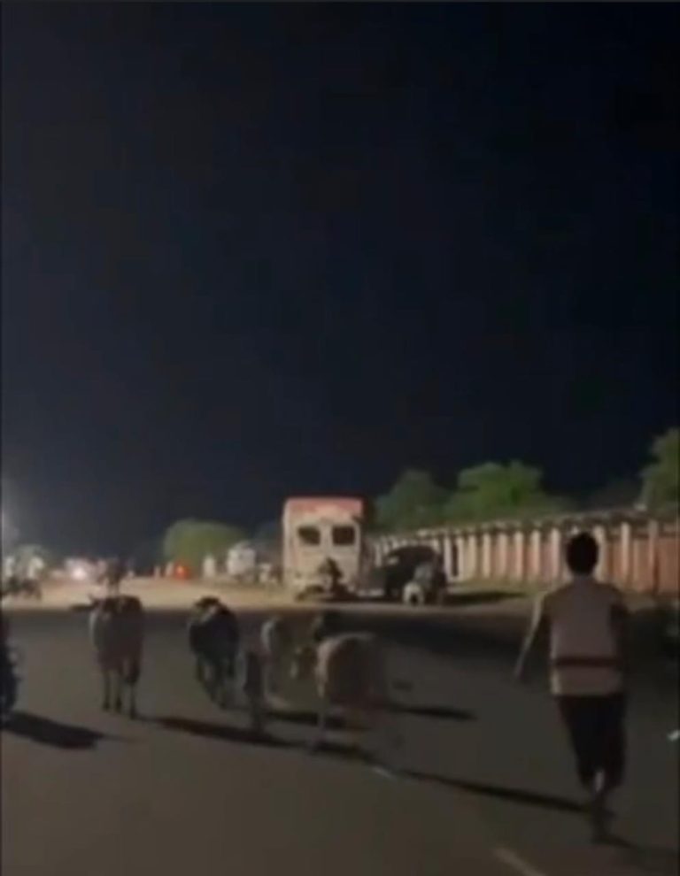 bundelibaan news 1341 date 29-7-2024