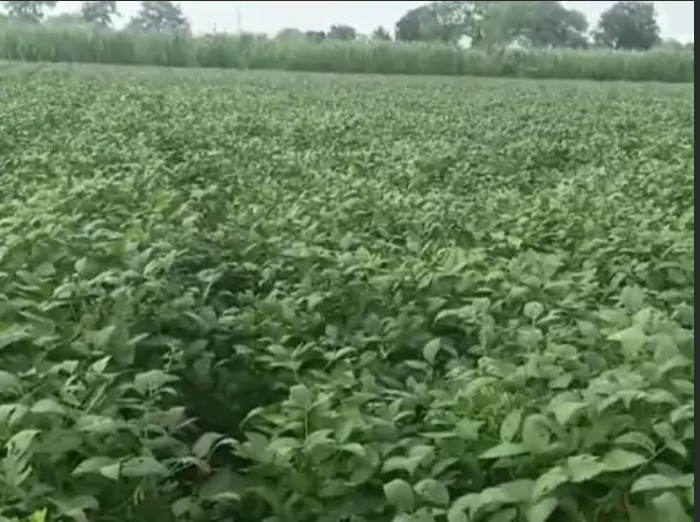 bundelibaan news 107 date 16-9-24