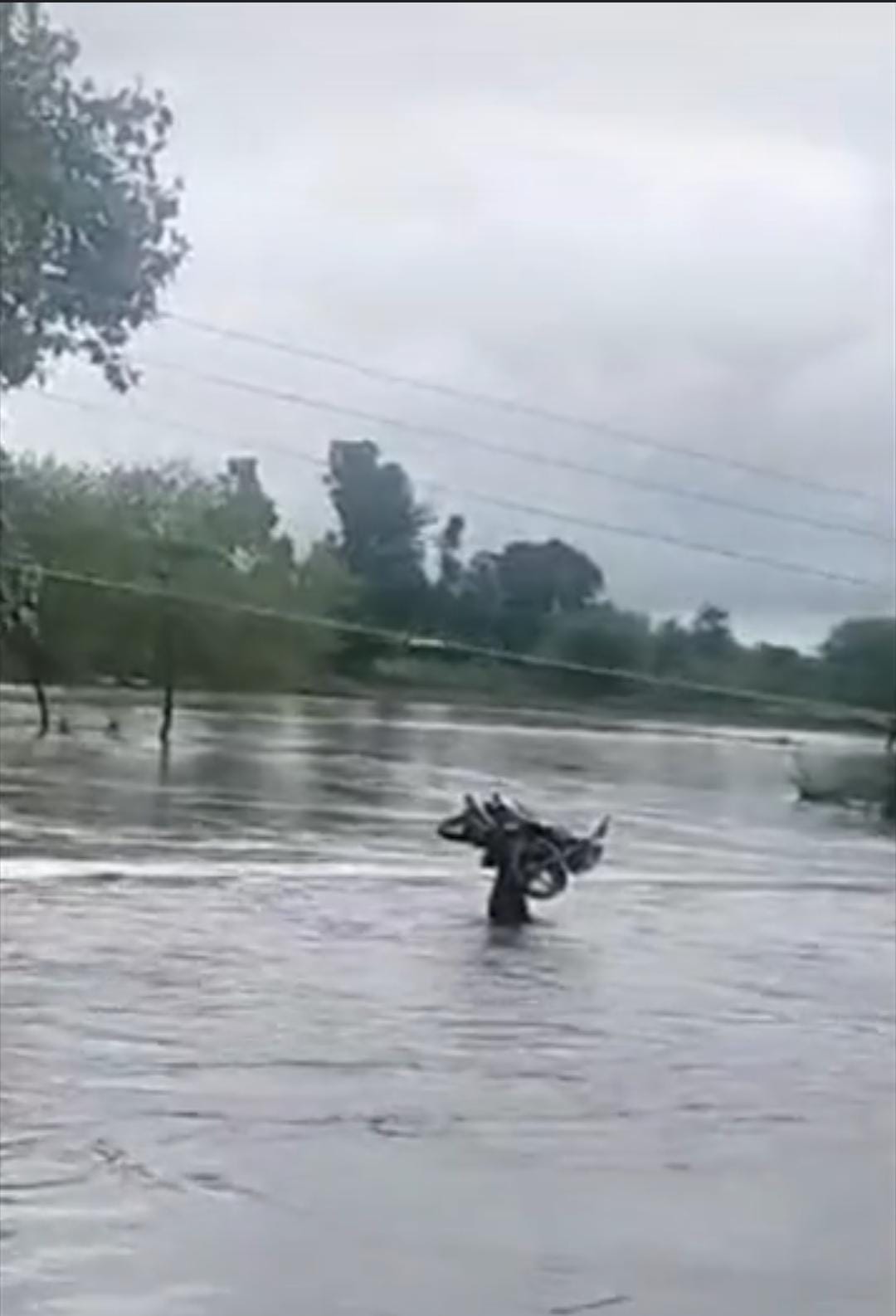 bundelibaan news 50 date 12-9-24