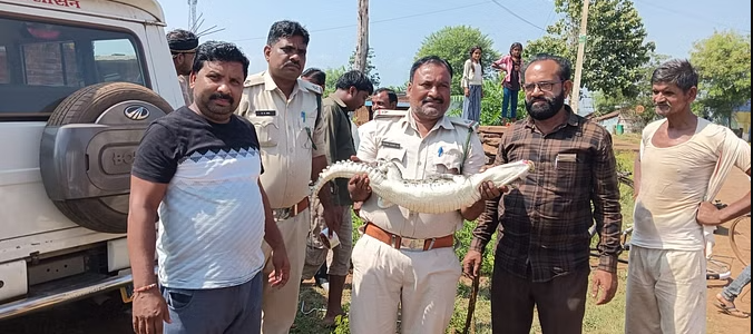 bundelibaan news 1504 date 6-10-24