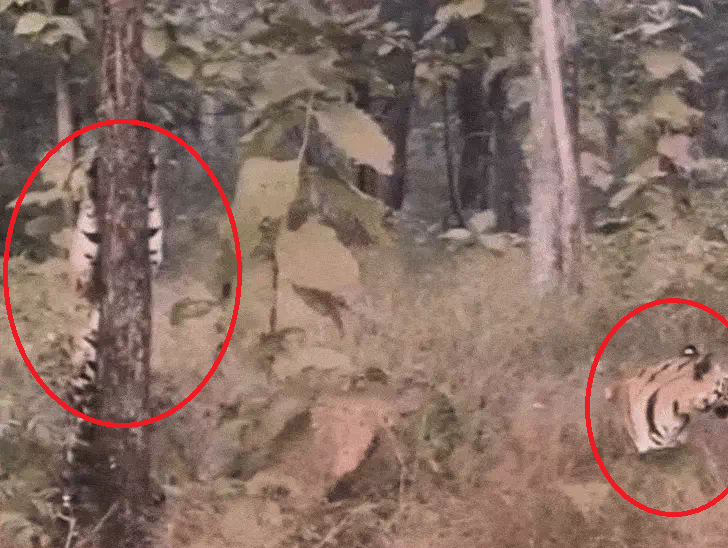 bundelibaan news 1696 date 21-12-24