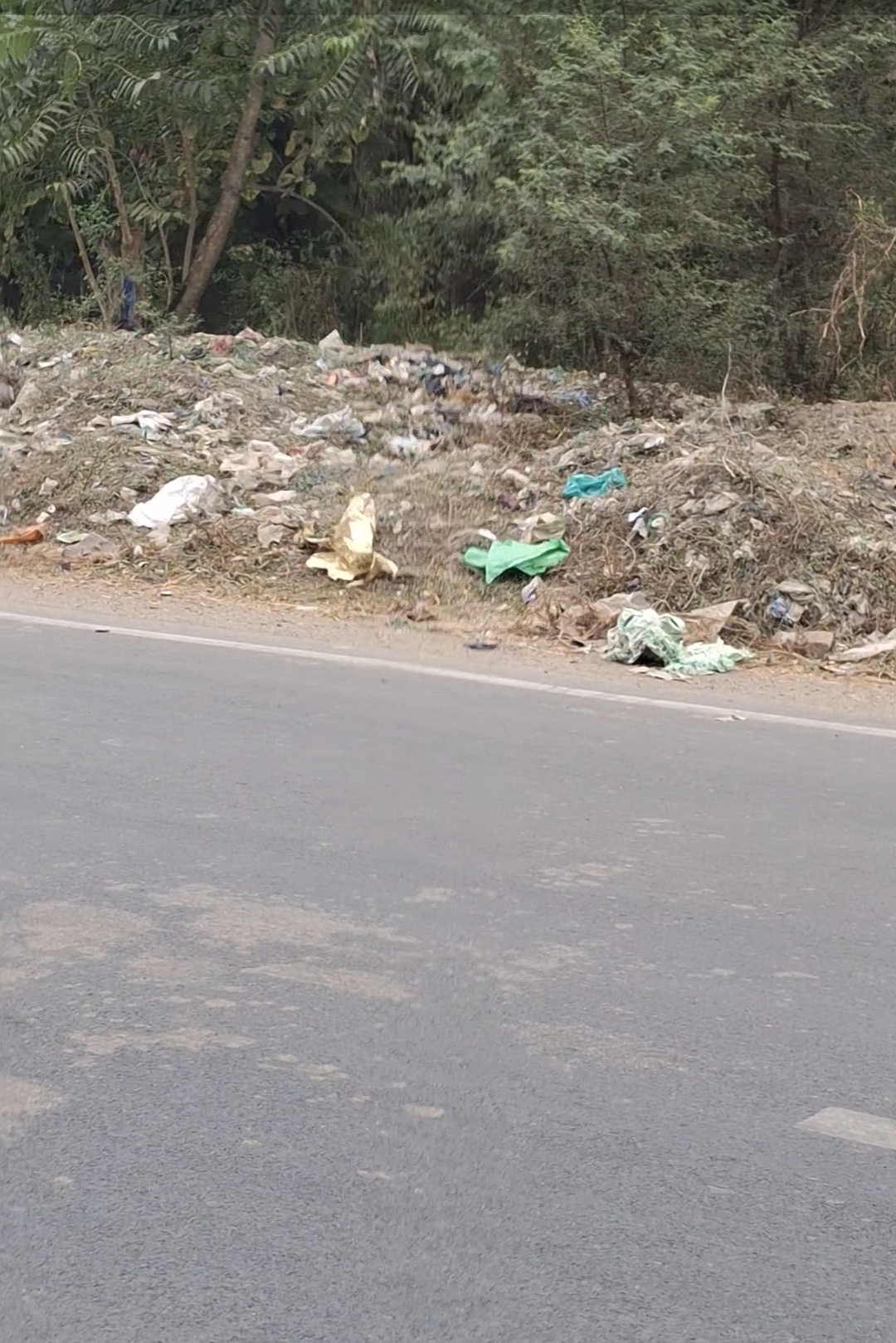 Screenshot_20251211_125222_Gallery