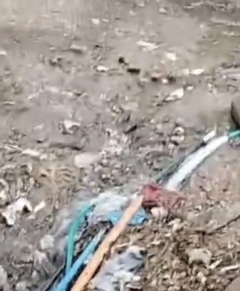 Screenshot_20260105_212940_Dainik Bhaskar